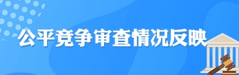 公平競爭審查情況反映